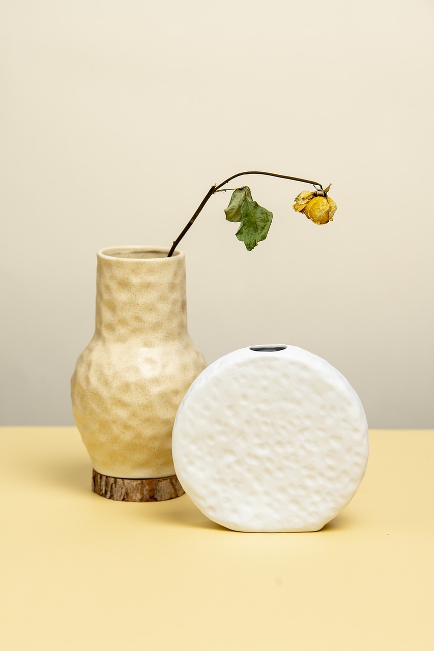 flower, flower wallpaper, beautiful flowers, vase, gift, plant, flower background, ceramic, decor, decoration, nature, still life, minimalist